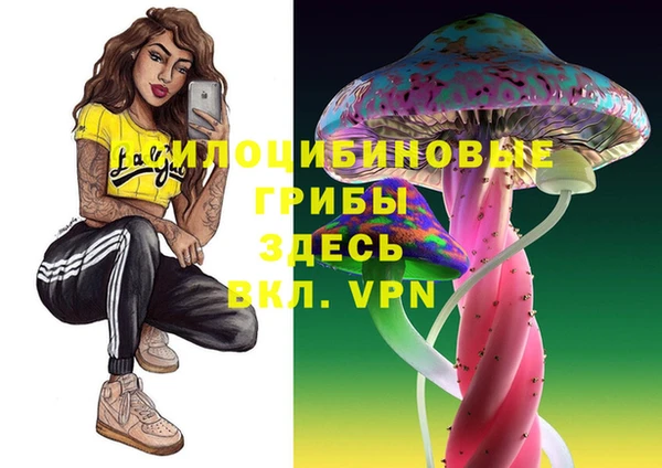 винт Абинск