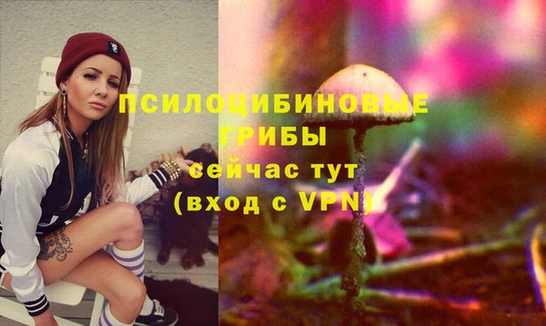 винт Абинск