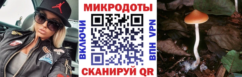 сайты даркнета наркотические препараты  Норильск  Псилоцибиновые грибы MAGIC MUSHROOMS 
